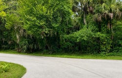 715 Tennessee Terrace, Ormond Beach, FL 32174