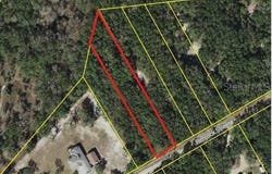 RIM ROCK, WEBSTER, FL 33597