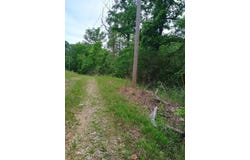 16680 Cantrell Drive, Licking, MO 65542