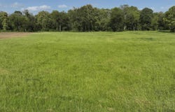 2 Brian Harris Drive, Murfreesboro, AR 71958