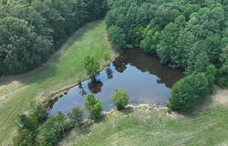 --- Farrah Road, Saluda, SC 29138