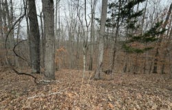 Oak Hollow Rd lot: 25, Moneta, VA 24121