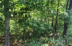 Marina Ridge Rd, HOLLADAY, TN 38341