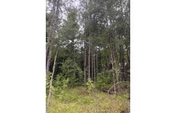 Hwy 43, Sunflower, AL 36581