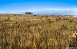 7929 County Road 84, Fort Collins, CO 80524