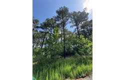 49 Blue Maple Trail, Broken Bow, OK 74728