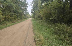 Reddicliffe VL Road, Melvin, MI 48454