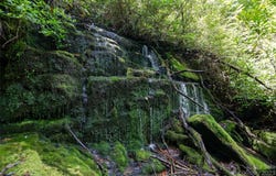 Nancy Mountain Road, Rosman, NC 28772