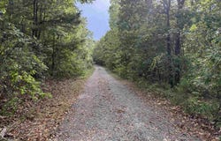 County Road 2291, Hartman, AR 72840