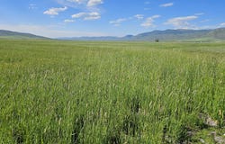 950 BERN Rd, Montpelier, ID 83254