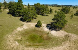 17265 Warriors Path Drive, Peyton, CO 80831