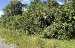 520 Arabella Lane, Cocoa, FL 32927
