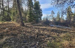 92 Rouleau Loop, Weippe, ID 83531