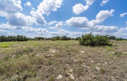584 Saddle Ridge Dr, Bertram, TX 78605
