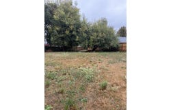 Elizabeth St, Eugene, OR 97405
