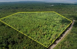 6460 White Road, Indian River, MI 49749