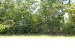 Edison Avenue, Alford, FL 32420