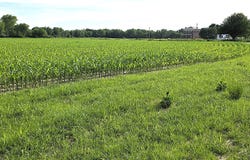 N State Road 75, North Salem, IN 46165