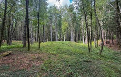 Werden Rd lot: 2-34, Otis, MA 01253