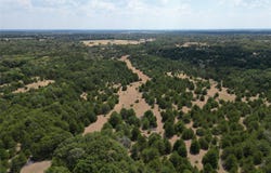 85 ac County Road 1019, Celeste, TX 75423