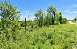 S 39 Highway, Stockton, MO 65785