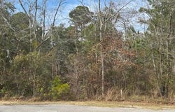Harbour Trace lot: 76, Freeport, FL 32439