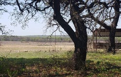 CR 1990, Chico, TX 76431