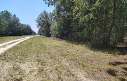 Sumac St, Interlachen, FL 32148