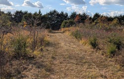 122 Zenar Road, Fordland, MO 65652