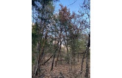 N CR 1200, Athens, TX 75751