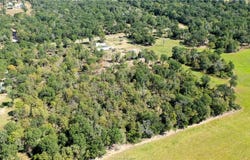 9486 Puddin Lane, Madisonville, TX 77864