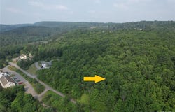 Timberwolf Road W, Liberty, NY 12754
