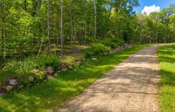 Lot 6, Walker, MN 56484