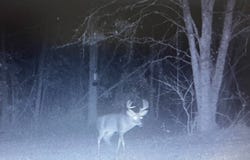 Lott Rd, Wacissa, FL 32344
