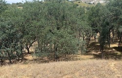 2463 Captains Walk, Bradley, CA 93426