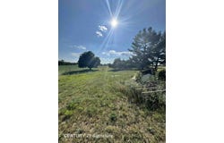 5732 E Grass Lake Road, Clare, MI 48617