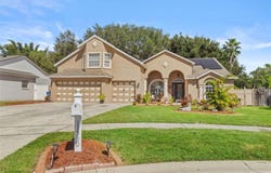 11530 ANDY Drive, RIVERVIEW, FL 33569