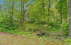 VANS Lane, CASCO, WI 54205