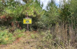 500 Pond Creek Rd, LUVERNE, AL 46079