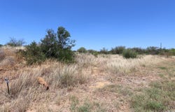109 County Road 2638, Devine, TX 78016