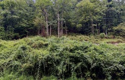 LUCAS HOLLOW Road lot: 11B, STANLEY, VA 22851