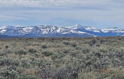 TRACT 5 E BEAVER RIDGE Road, Daniel, WY 83115