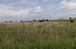 0041 E 4500 Road, Pawnee, OK 73061