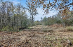766 Bugtussle Ln, Luling, TX 78648