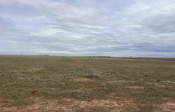 County Road 1018, Muleshoe, TX 79347