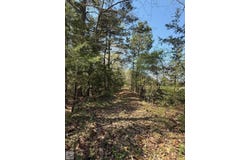 County Road 4310, Avery, TX 75554