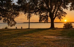 6135 E Highway 98, Panama City, FL 32404