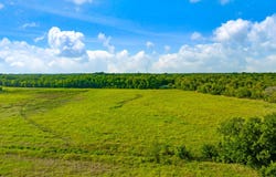 County Road 25200, Roxton, TX 75435