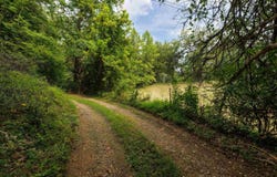 POUNDING BRANCH RD, AFTON, VA 22920