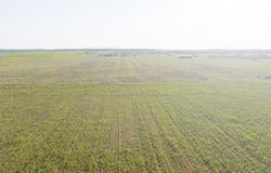 4257 FM 1235, Merkel, TX 79536